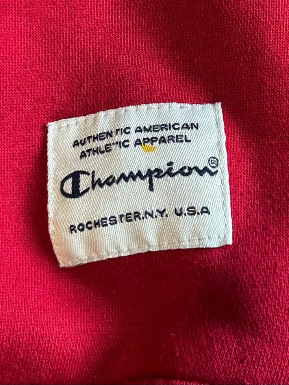 Vintage Champion Spellout Hoodie Red Distressed Y2K Large